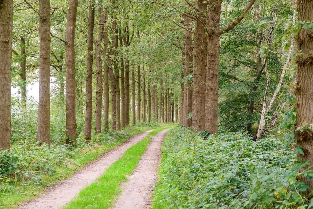 Prachtig Vrijstaand Familiehuis Op Groot Perceel Scherpenzeel  Exterior foto