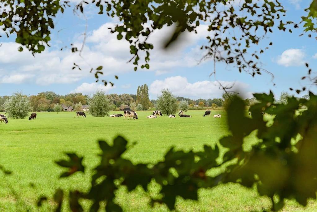Prachtig Vrijstaand Familiehuis Op Groot Perceel Scherpenzeel  Exterior foto