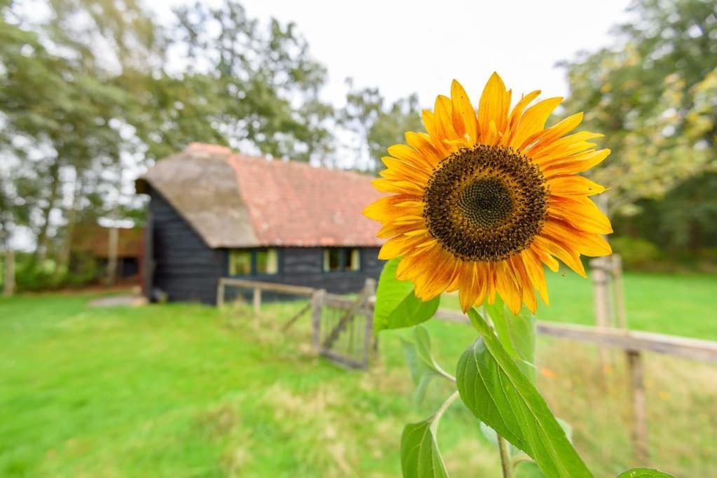 Prachtig Vrijstaand Familiehuis Op Groot Perceel Scherpenzeel  Exterior foto
